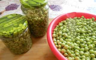 Как консервировать зеленый горошек в домашних условиях: 10 вкусных и простых рецептов на зиму