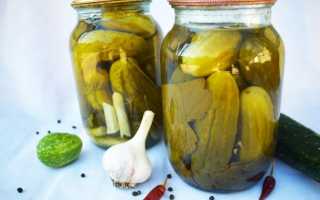 Огурцы на зиму в банках – 14 самых вкусных рецептов