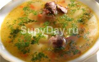 Как приготовить куриные желудки мягкими и сочными. Рецепты для сковороды, мультиварки, скороварки.