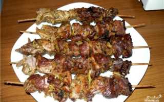 Вкусные рецепты по приготовлению шашлыка в банке с помощью духовки