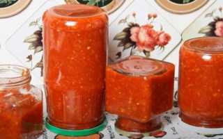Аджика из помидор и чеснока – классические рецепты самой вкусной домашней аджики