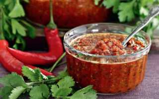 Острая аджика на зиму — 7 простых и вкусных рецептов без варки и под закатку