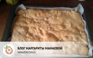 Вкусная шарлотка с яблоками: несколько рецептов пирога с хрустящей корочкой
