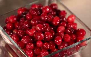 Заготовки из клюквы на зиму – 11 самых вкусных и простых рецептов