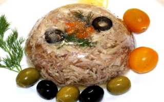 Холодец из свинины и говядины. Как сварить вкусный холодец — 8 пошаговых рецептов приготовления