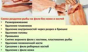 Учимся быстро разделывать селедку – пошаговая инструкция с фото