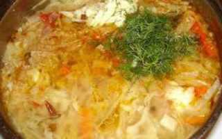 Рецепты кислых щей из квашеной капусты – с курицей, свининой, картофелем, грибами