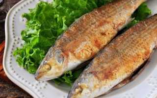 Как пожарить кефаль на сковороде кусочками. Кефаль жареная на сковороде