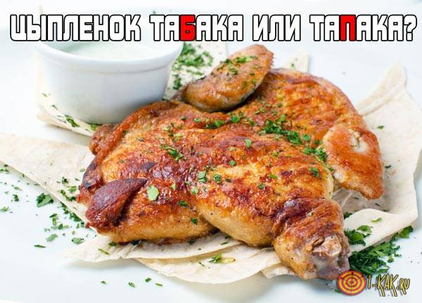 Цыпленок тапака или табака - как правильно