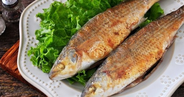 Кефаль. Рецепты приготовления на сковороде с фото