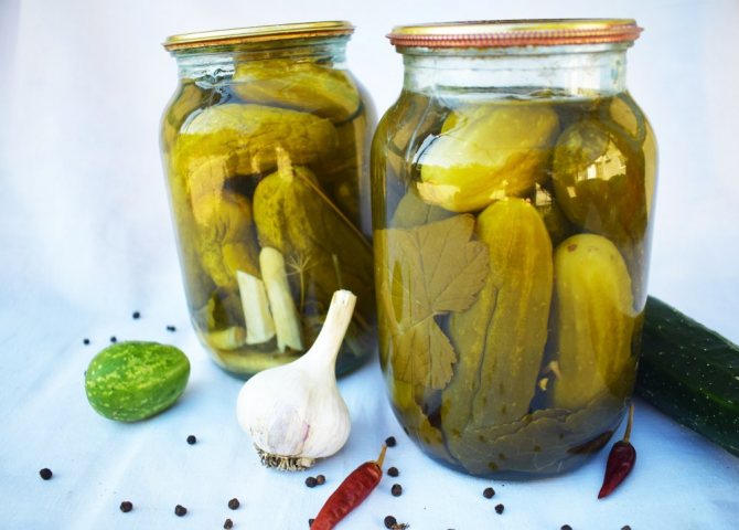 Огурцы на зиму в банках – 14 самых вкусных рецептов
