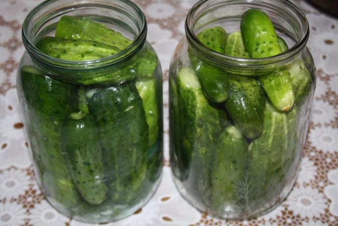 Огурцы на зиму в банках – 14 самых вкусных рецептов
