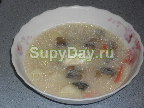 Суп из вешенок
