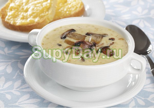 Суп с плавленым сыром и сливками